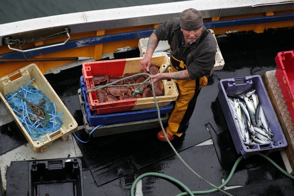 Fiskaren Andrew Gillie tar i land färska krabbor, hummer och makrill i hamnen i Eyemouth i Skottland. Arkivfoto.