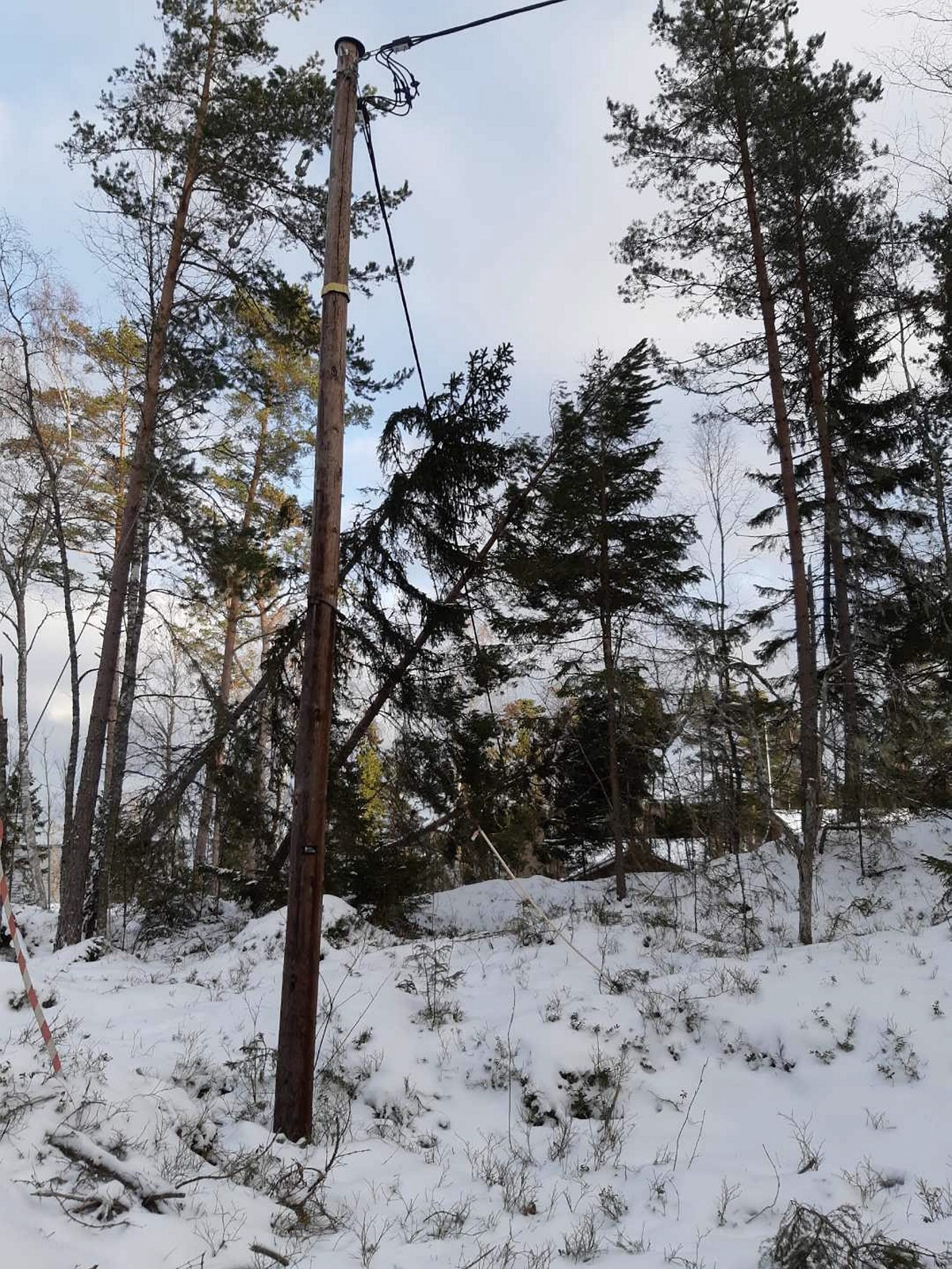 Många träd har fallit över ledningar. Foto: Linus Magnusson
