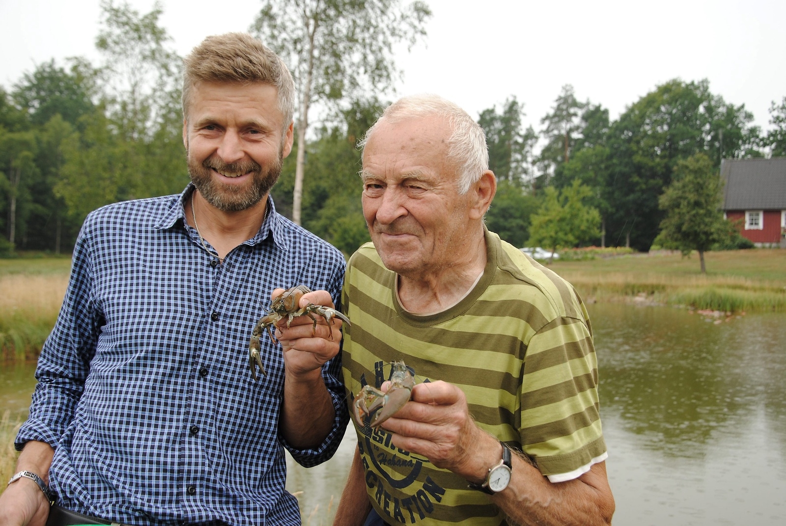 Bengt Kristiansson och Sven Kristiansson har odlat kräftor sedan 1987 och kan känna på skalet som det är tillräckligt hårt innan det säljs. Foto: Sharon Wong