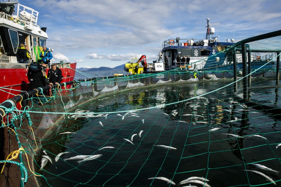 Norge exporterade i juni fisk för åtta miljarder norska kronor, men landets underskott i handeln med omvärlden blev det största i modern tid. Arkivbild