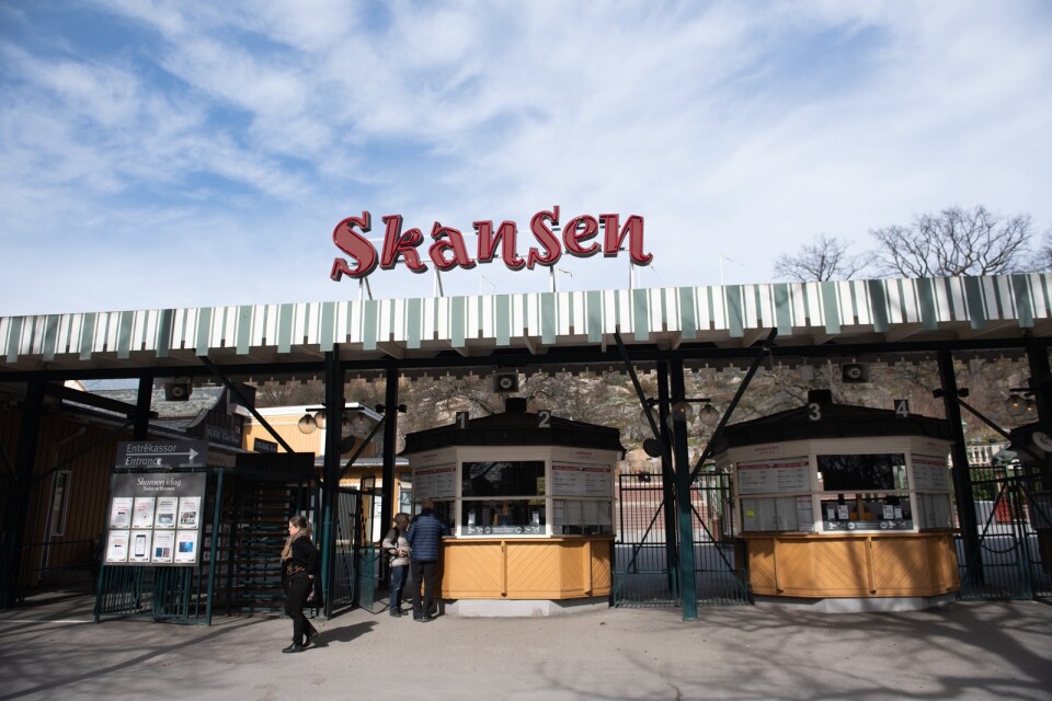 På bara några dagar fick Skansen in tre miljoner kronor från besökare som stödköpt årskort. Arkivbild.