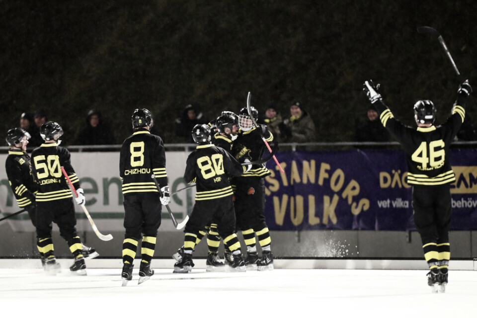 AIK kunde jubla i den avgörande SM-åttondelsfinalen i bandy hemma mot Hammarby.
