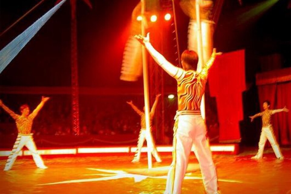 Efter att Maximums direktör hälsat alla välkomna dundrade akrobaterna in i tältmanegen. I går kom cirkusen till Trelleborg. Bild: Jessica Bloem Pettersson