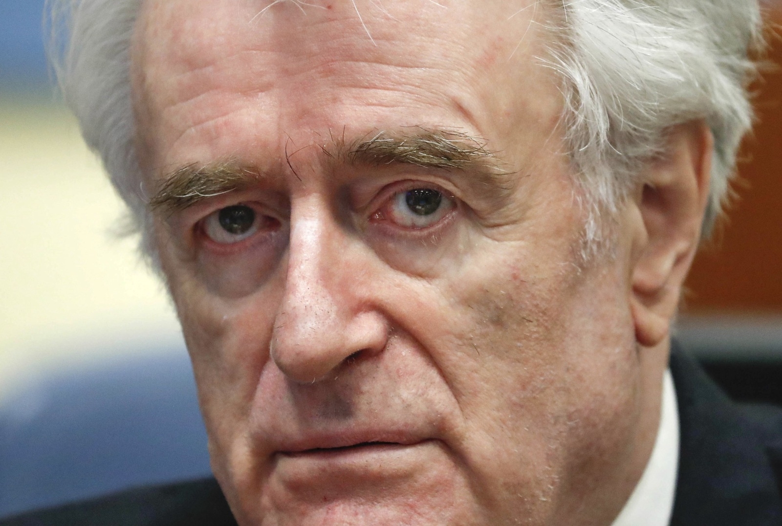 Radovan Karadzic under rättegången mot honom. Foto: Yves Herman/pool-bild via AP/TT