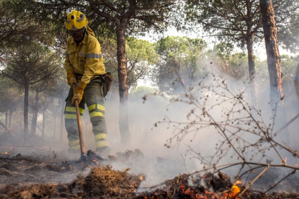 Tre personer har omkommit i de svåra skogsbränderna i Spanien. Arkivbild.