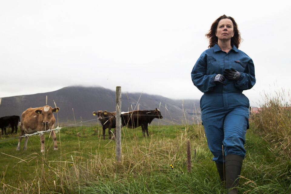 Inga (Arndís Hrönn Egilsdóttir) tar upp kampen mot ett kooperativ som styr och ställer i det lilla isländska samhälle där hon har sin gård. Pressbild.