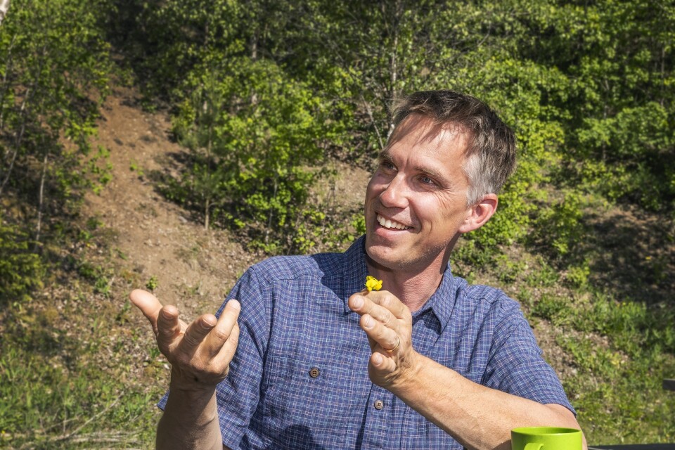 Väskuststiftelsens naturvårdschef Mattias Lindholm guidade UT bland blomsterskatterna i naturreservatet som stiftelsen förvaltar i samarbete med Knätte hembygdsförening.
