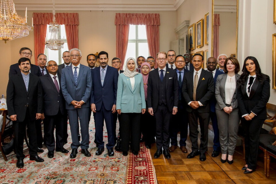 Ett tjugotal länder från den islamiska samarbetsorganisationen OIC samlades på UD under fredagen.