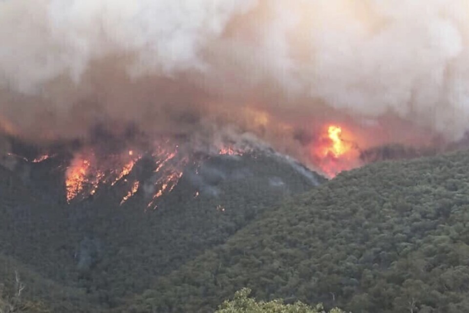 Skogsbränderna i Gippsland i Victoria i torsdags. Bild från den lokala miljömyndigheten.
