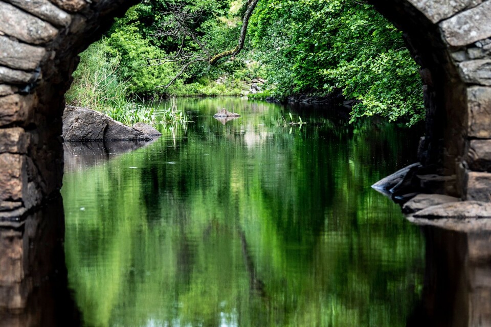 BLT:s fotograf Marcus Palmgren hittade en stenbro och ett vattendrag likt en spegel.