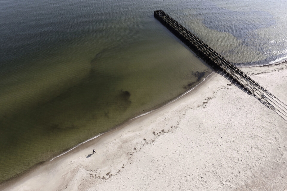 Ystad 2018: Stranden vid Ystad Saltsjöbad har kommunen i Ystad sandfodrat vid två tillfällen. Längs den skånska kusten är problemen med krympande stränder redan påtagliga, kanske allra mest i Ystad, där man har slitit med frågan i flera decennier. Arkivbild.