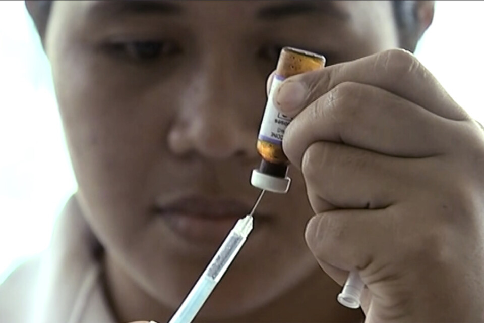 Nyzeeländsk vårdpersonal förbereder en spruta med mässlingvaccin vid en klinik i Apia, Samoa. Arkivbild.