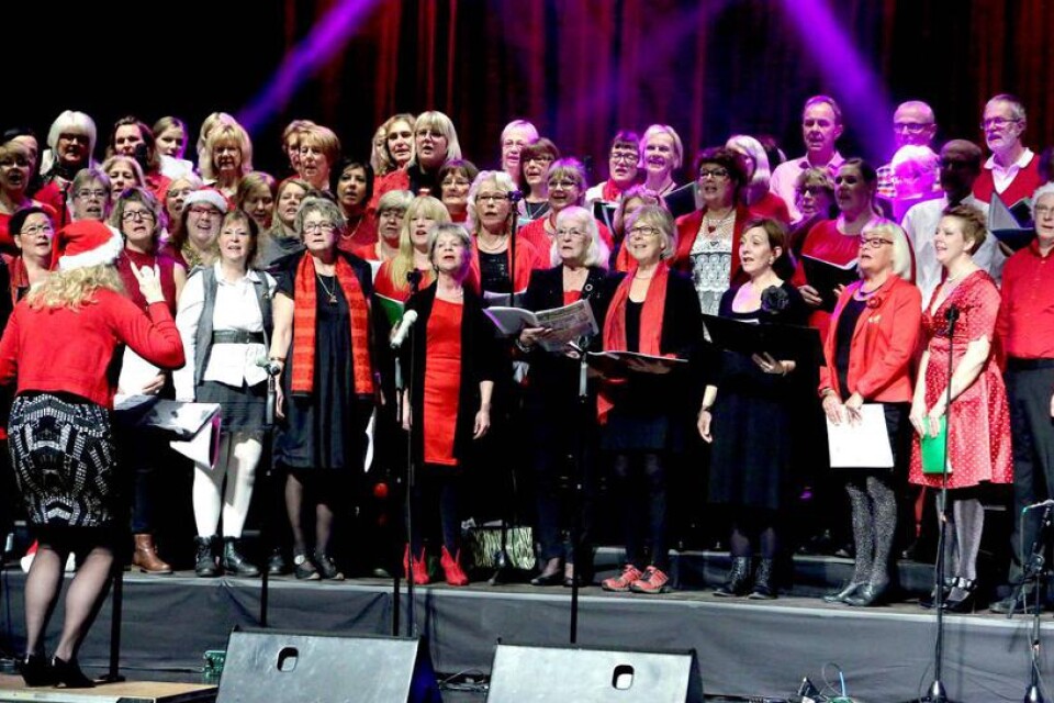 Den Kalmarbaserade kören Vox Communis uppträdde. Överskottet från showen går oavkortat till föreningen för funktionshindrade barn i Kalmar.