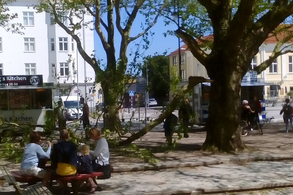 Michael Svensson hade precis avslutat sin fika när trädgrenen brakade ner på torget.