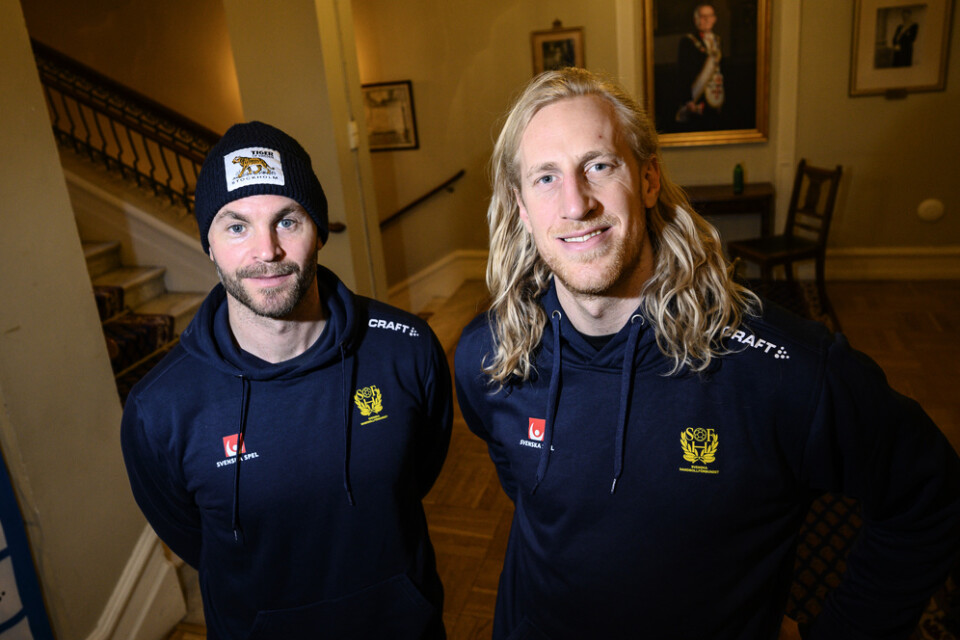 Sveriges målvakter Andreas Palicka och Mikael Appelgren blir viktiga om Sverige ska gå långt i EM.