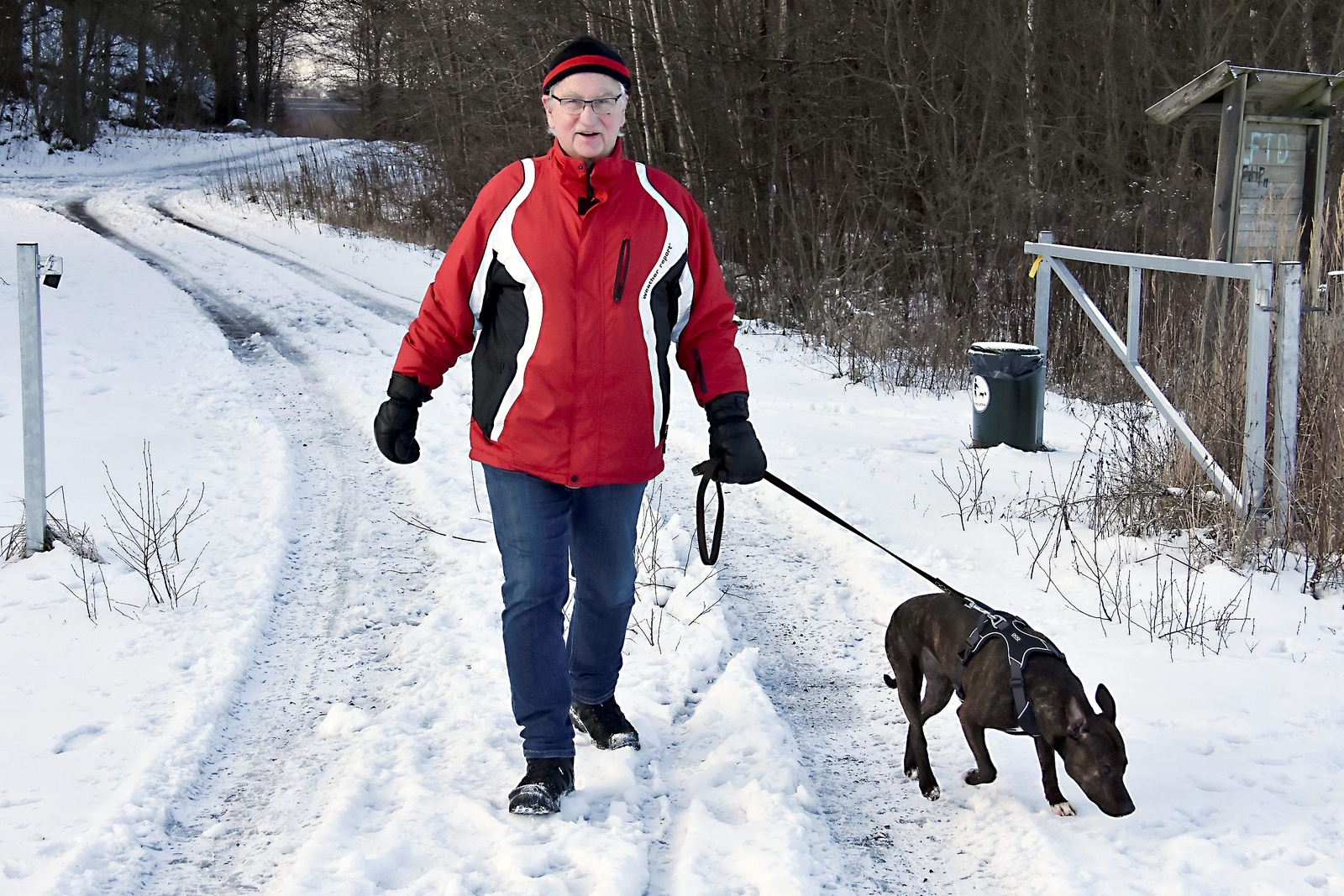 Ingemar Jonasson tar en tur med hunden Klara. Foto: Helén Fingalsson