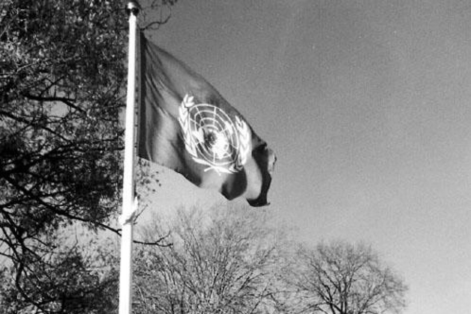 En fredens värld. I dag, den 24 oktober, är det FN-dagen. FN har en viktig uppgift i att skapa en tryggare värld för oss alla. Foto: PRESSENS BILD