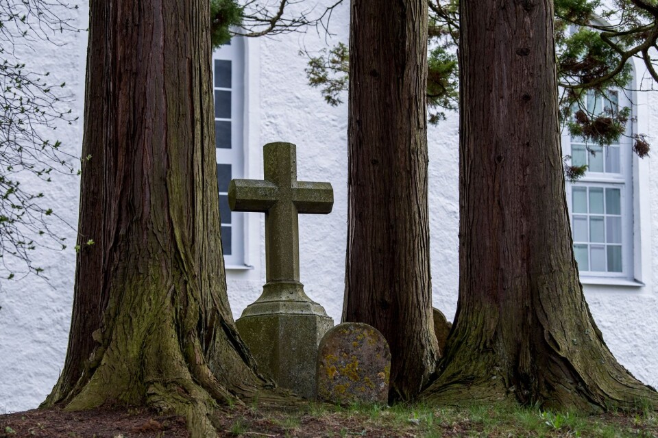 Fram till Augerums kyrka kommer man inte från Mölletorps-hållet på grund av nerblåst träd över båda körfälten.