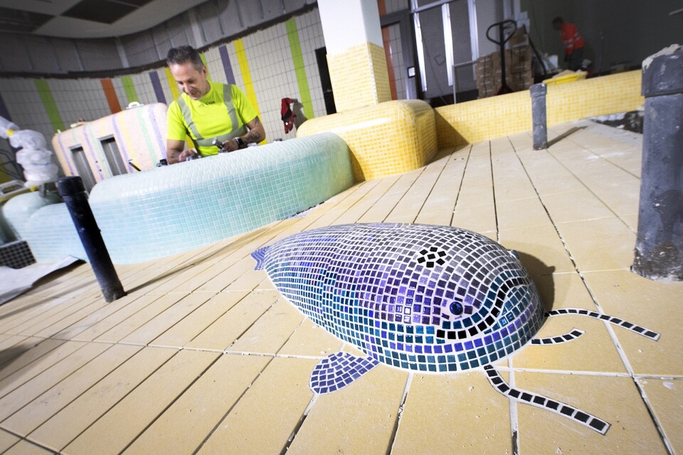 A Sheatfish A catfish at the children's pool. at the childrens' pool. Juan Gaete , from Italsten AB in Båstad, lays mosaics and stones. ”I have to lay them one stone at a time. I's a great job”, he says.