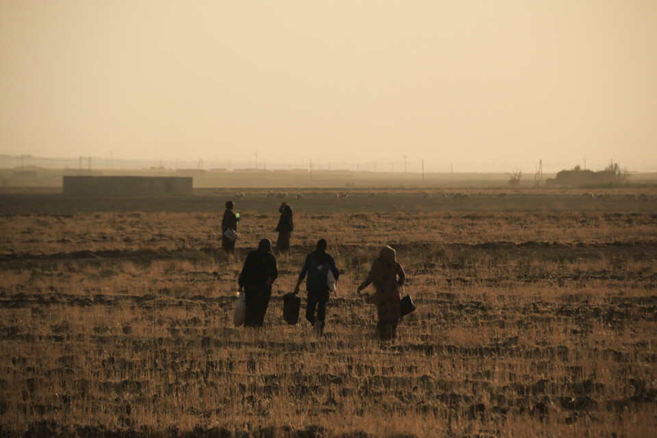 Civila flyr undan turkisk artillerield vid staden Ras al-Ayn i nordöstra Syrien.