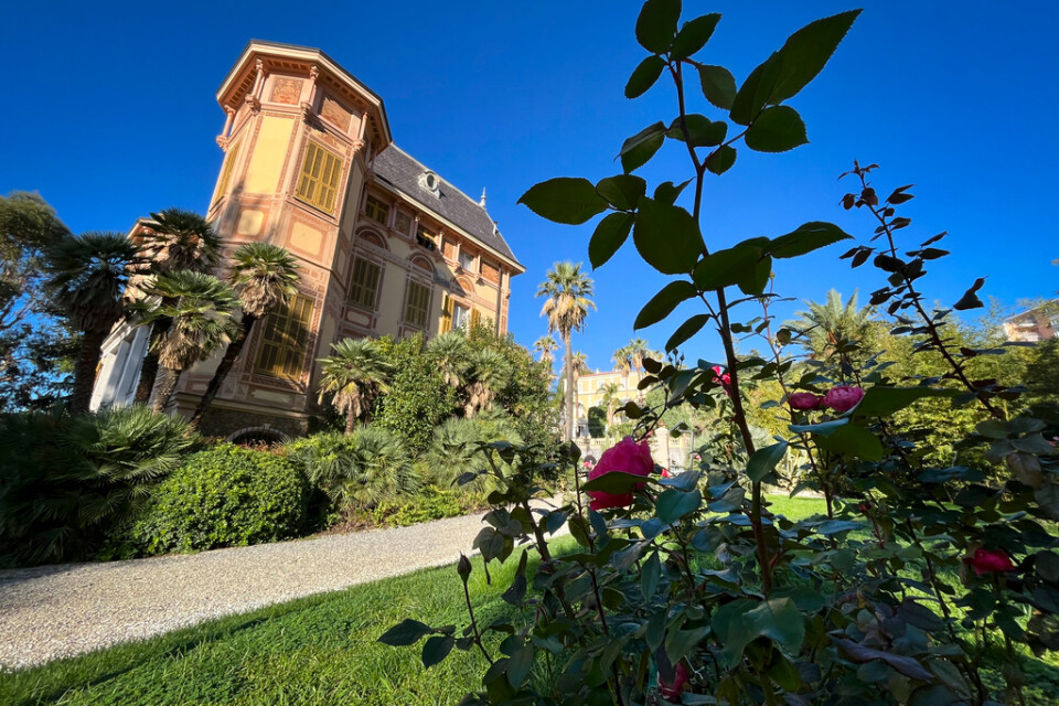 Villa Nobel i Sanremo. Alfred Nobels villa. I förgrunden rosa nobel - en ros som skapats till industrimannens ära.