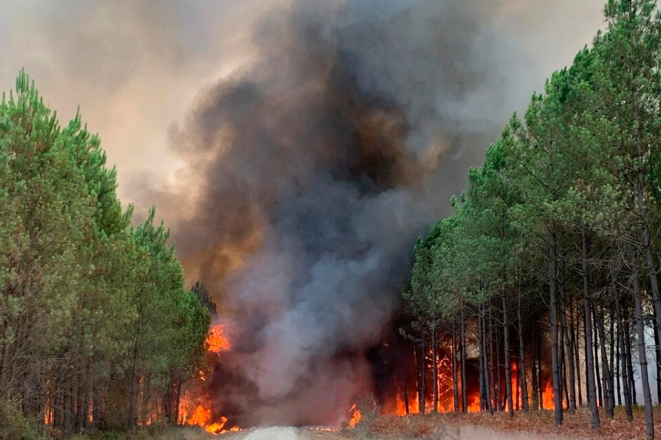 Skogsbränder rasar i Frankrike.