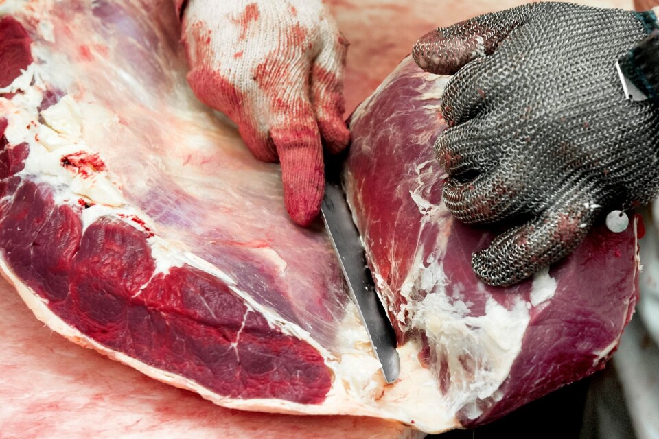 Kött från det polska slakteri som misstänks sälja kött från sjuka djur har även sålts till företag i Sverige.