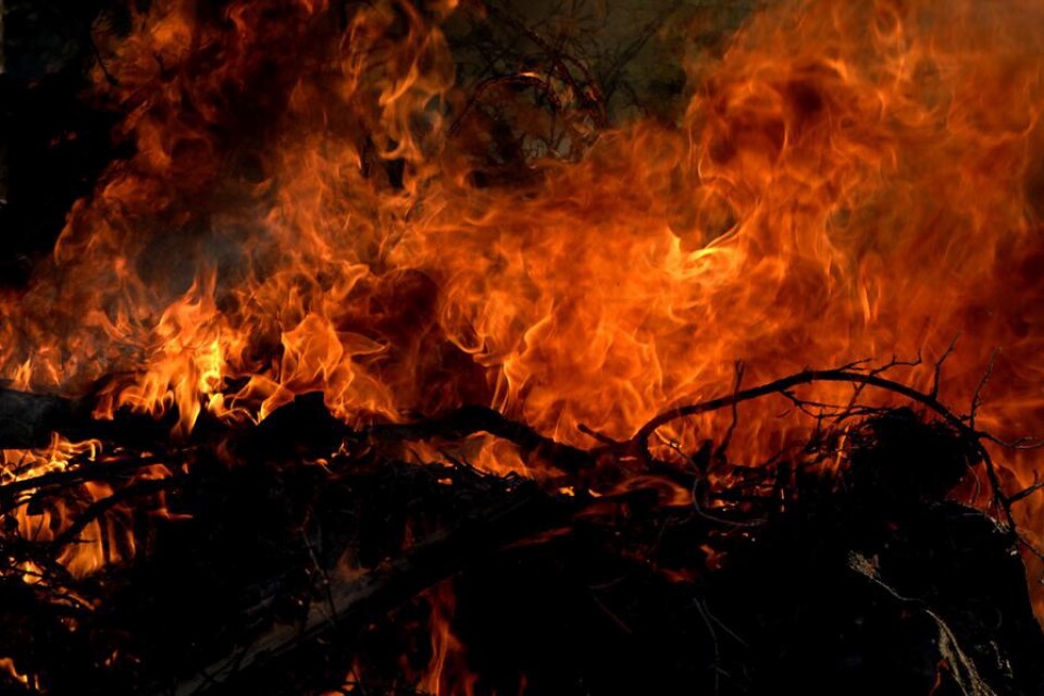 Det är stor risk för att eld ska sprida sig i skog och mark just nu. Därför råder eldningsförbud i nordöstra Skåne.