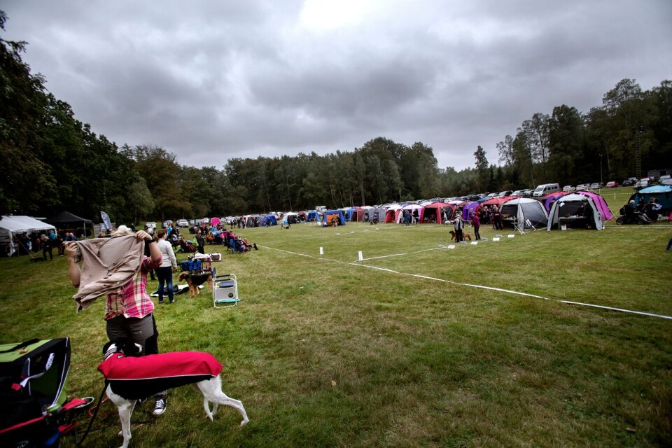 Trots regntunga skyar hade 250 tävlande sökt sig till brukshundsklubben i Sjöbo.