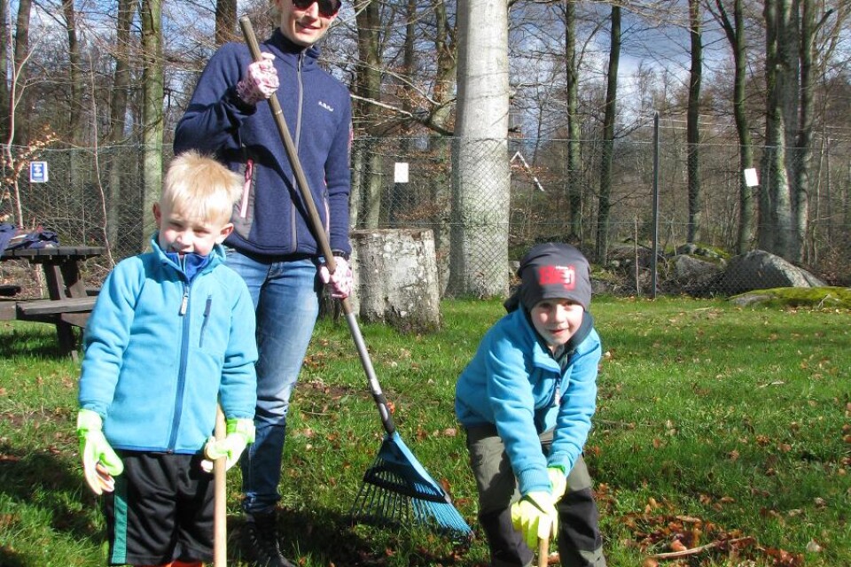 Hanna Olin med barnen Helmer, 5, och Hilding, 7, räfsar löv
