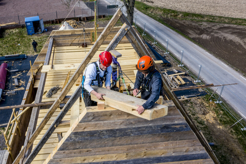 Karl-Magnus Melin och Mattias Hallgren monterar en handhuggen stock i takkonstruktionen på "nygamla" Södra Råda kyrka. Den medeltida träkyrkan återskapas nu med tidsenliga metoder.