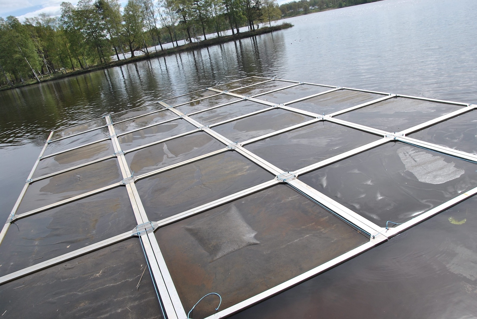 Nu finns sammanlagt 250 ramar utplacerade i Osbysjön. Foto: Magnus Wahlström