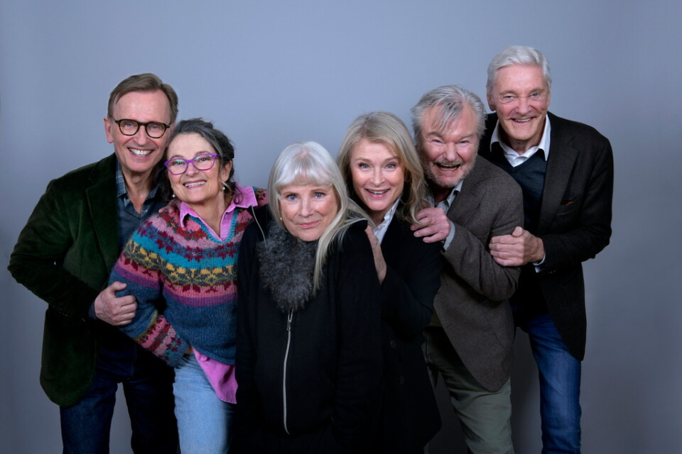 Johan Ulveson, Suzanne Reuter, Ulla Skoog, Lena Endre, Peter Dalle och Claes Månsson spelar huvudrollerna i SVT:s stora juldrama "Äntligen!".