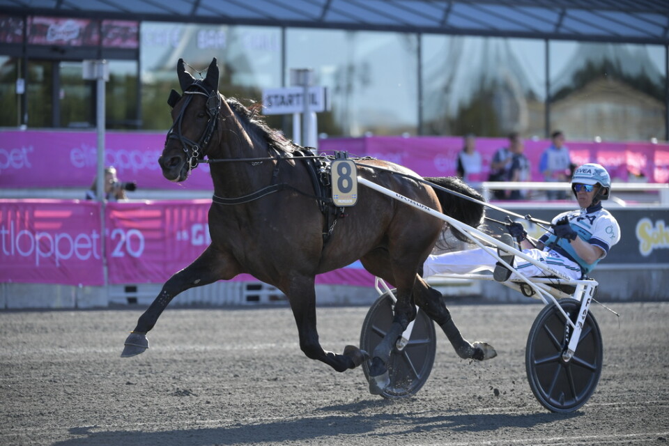 Propulsion, med kusken Örjan Kilström i sulkyn, vann Elitloppet i söndags. Nu är hästen anklagad för att vara nervsnittad.