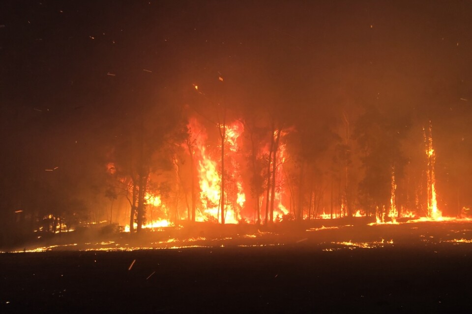 Delstaten New South Wales i Australien har drabbats mycket hårt av bränderna. Bilden kommer från Green Wattle Creek nära Oakdale.