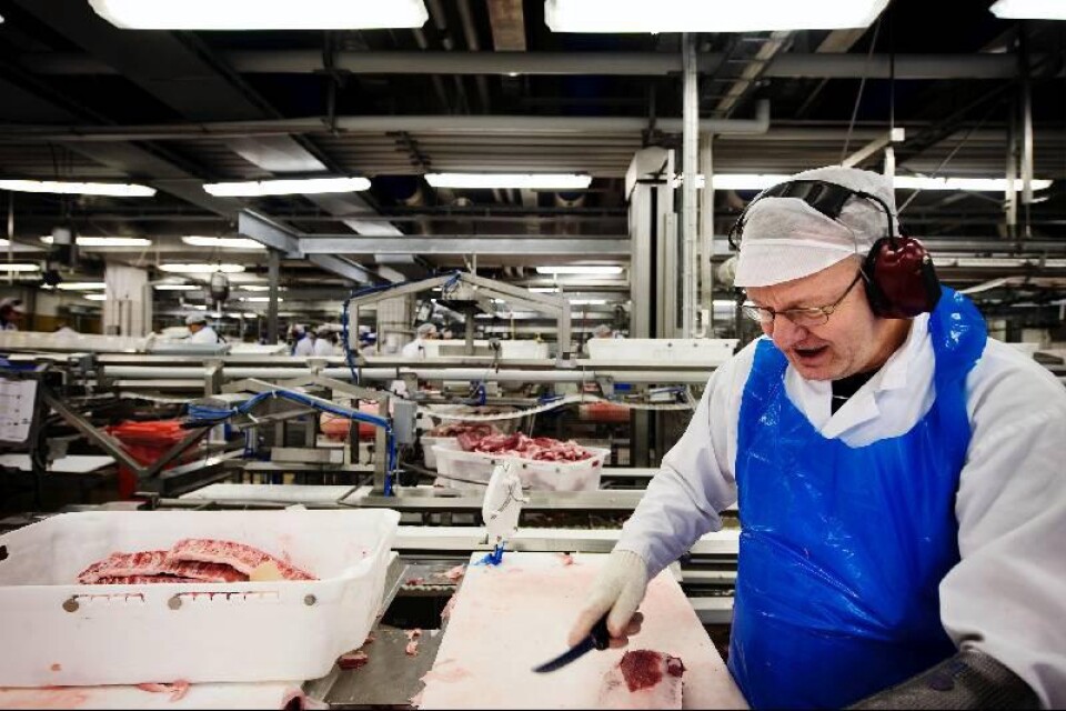 Berry Lindau har jobbat på Scan i 42 år – och framhåller vikten av bra knivar.