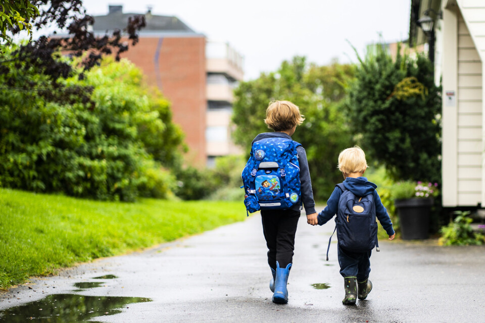 En teori är att barn med syskon är mer fysiskt aktiva i och med att de leker tillsammans, säger Kieron Barclay, forskare i demografi vid Stockholms universitet. Arkivbild.