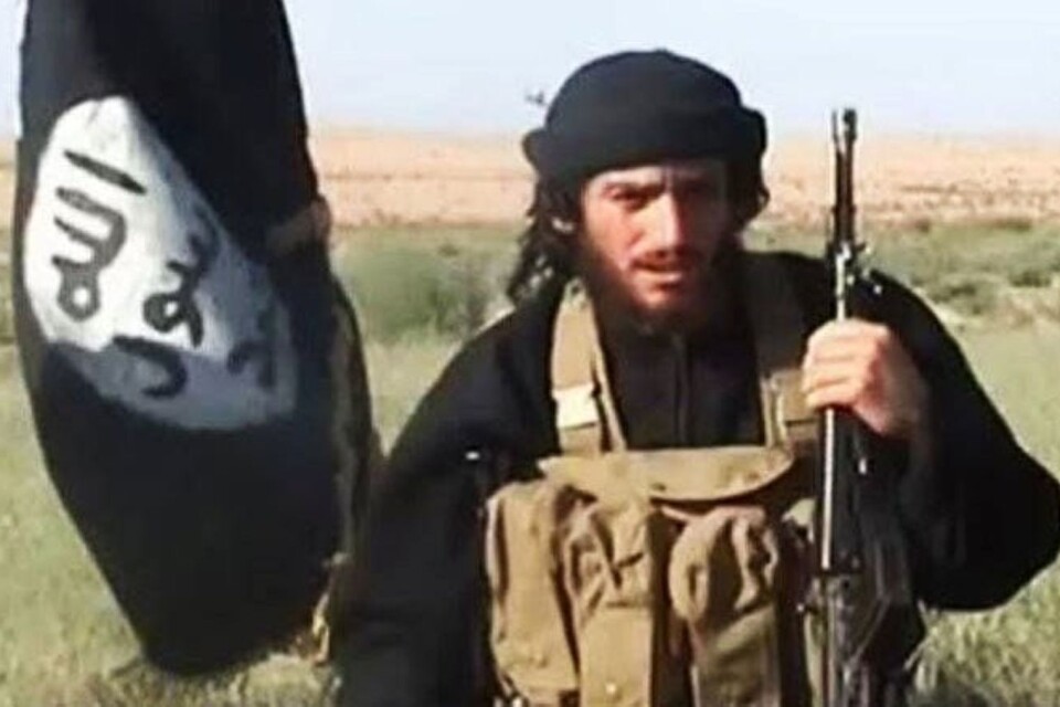 Abu Mohammad al-Adnani, dåvarande operativ ledare för IS i Syrien och officiell talesperson, höll ett för många anhängare viktigt tal 22 september 2014.