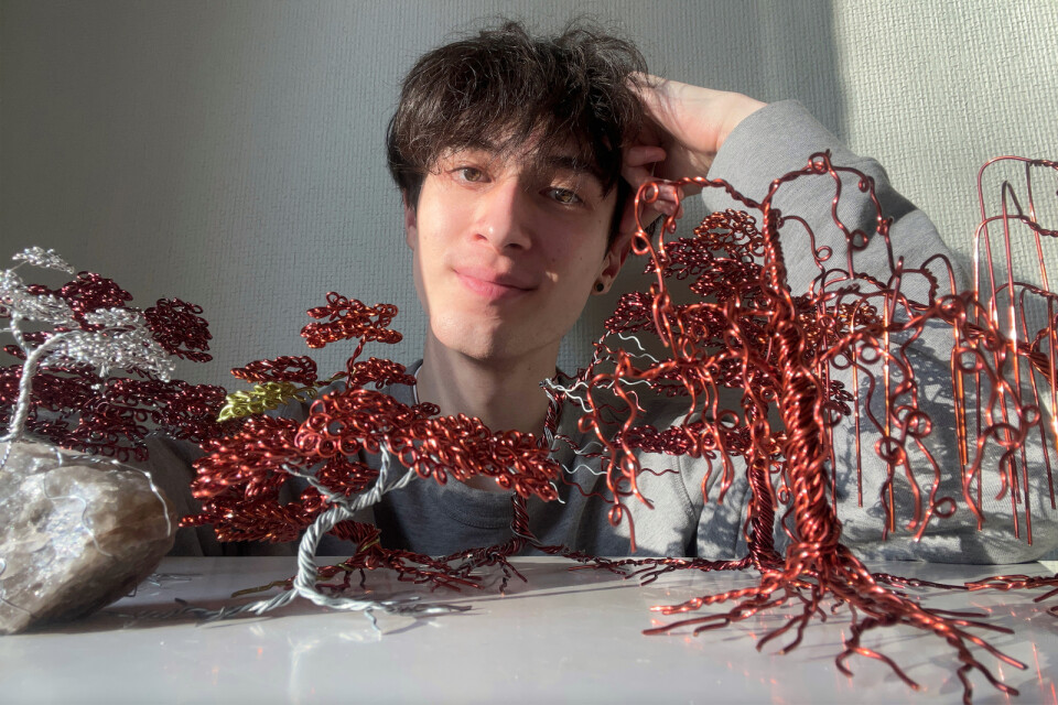 Johannes Papadopoulos gör bonsaiträd av metalltråd.