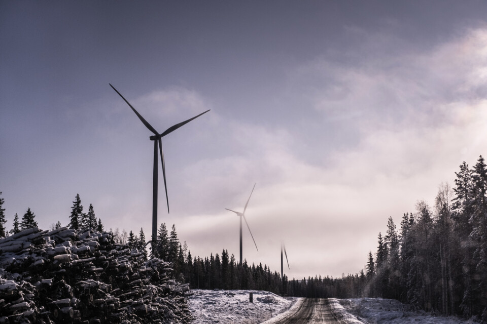 Arkivbild på vindkraftverk utanför Piteå.