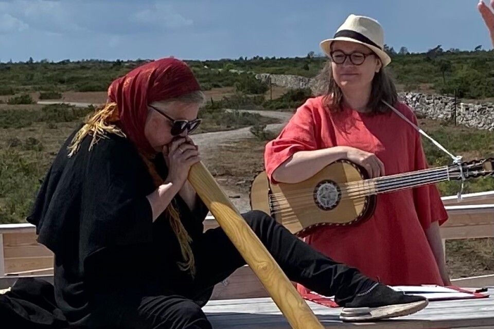 Musiker: Agneta Hellström på didgeridoo och Nora Roll, barockgitarr.