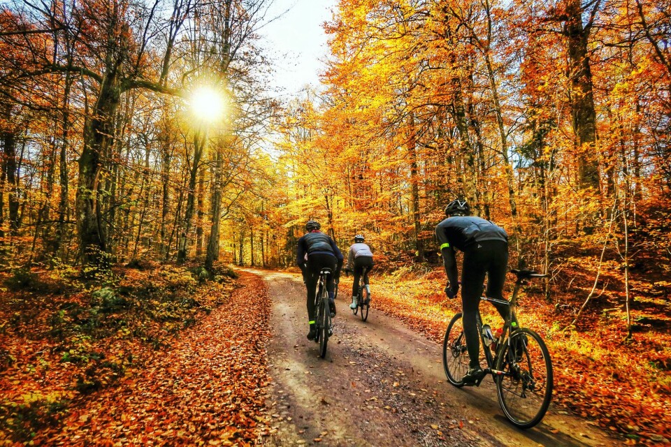 ”Loppet är ett perfekt sätt att visa upp kommunens fantastiska natur och fina cykelstråk för natur- och cykelintresserade från hela landet” uppger Oscar Ekstam.