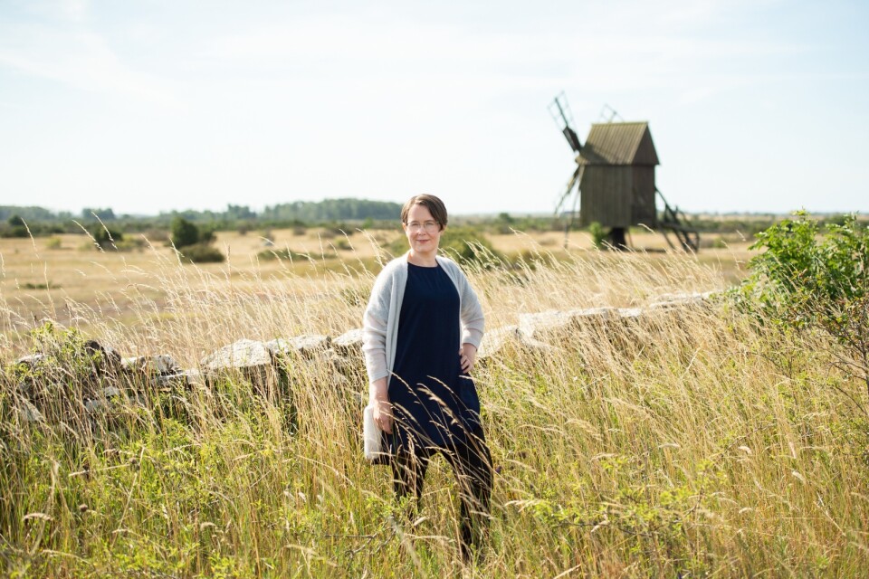 Handlingen i Johanna Mos spänningsserie Ölandsbrotten utspelar sig på Öland, en ö med speciell miljö. Det tror författaren själv är en av framgångsfaktorerna bakom serien.