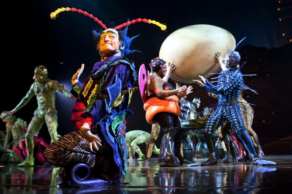 Cirque du Soleil tar föreställningen "Ovo" till Sverige i vår. Arkivbild.