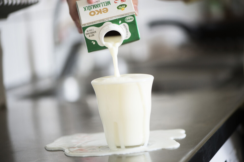 Även mycket små mängder mjölk kan ge allvarliga reaktioner hos känsliga mjölkallergiker. Arkivbild.