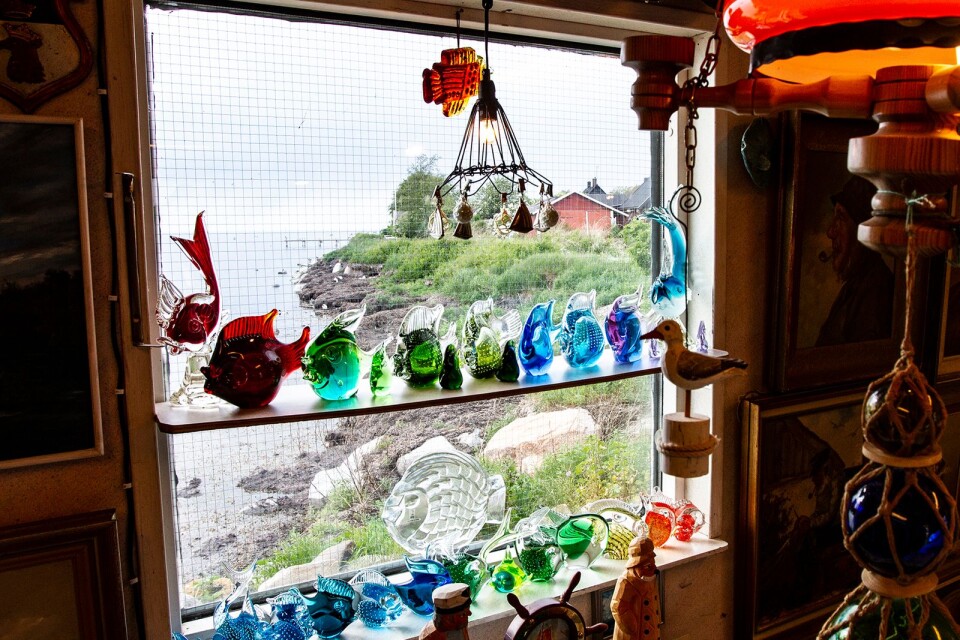 Glasfiskar i olika färger och former pryder fönstret i Mikael Carlssons fiskehodda.
