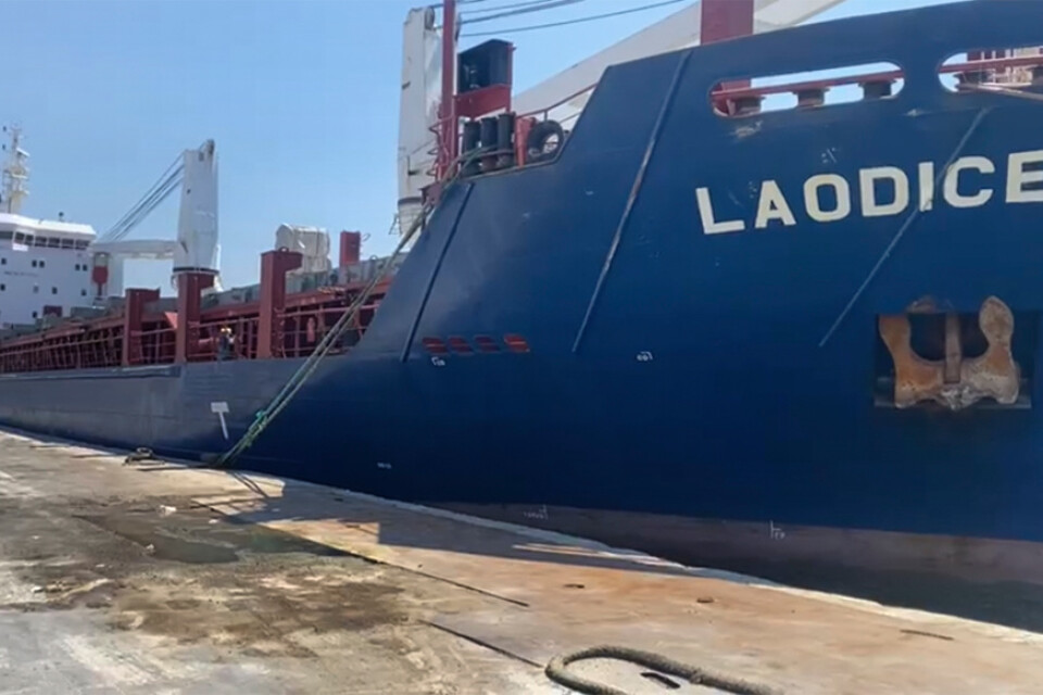 Det syriskägda lastfartyget Laodicea i hamn i Libanesiska Tripoli i somras, då libanesiska myndigheter avvisade uppgifter om att fartyget var lastat med ukrainska spannmål som stulits av Ryssland. Arkivbild.