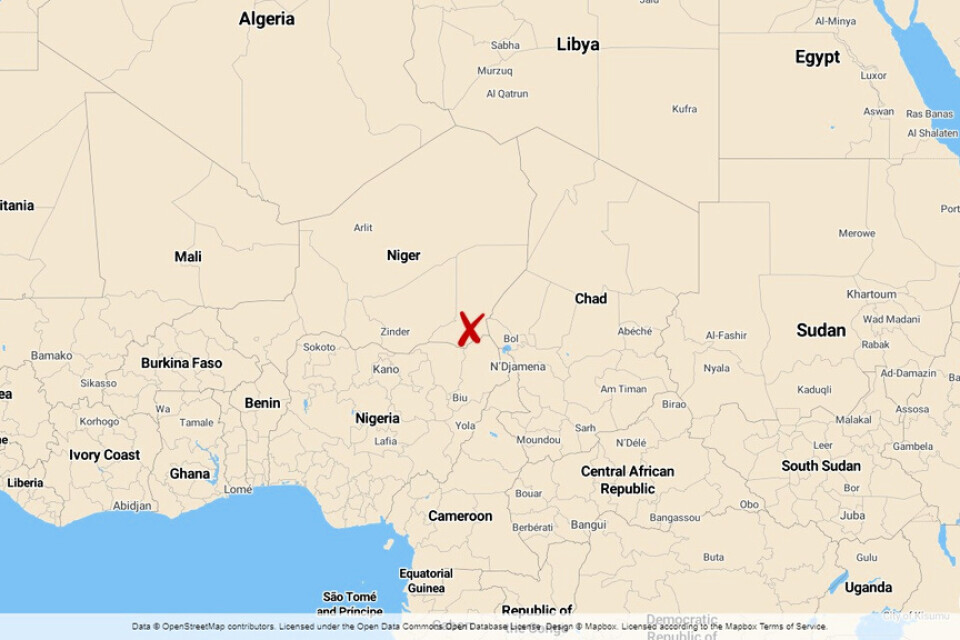 Tolv soldater dödades och tio andra skadades när den jihadistiska terrorrörelsen Boko Haram attackerade en militärbas i Diffaregionen i Niger sent på måndagskvällen, enligt landets försvarsdepartement.