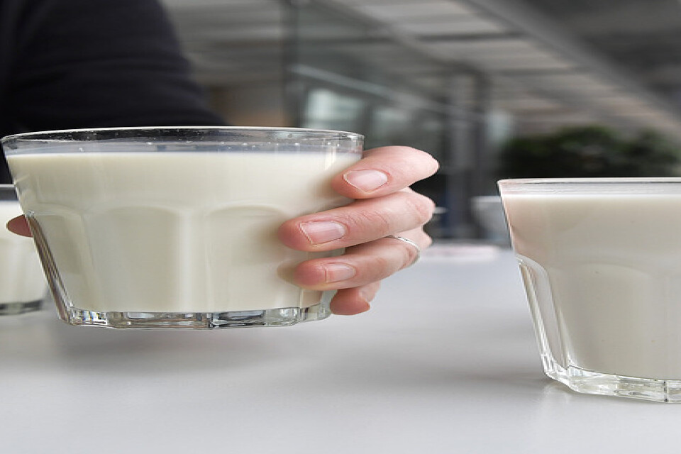 Vilken mjölkdryck är bäst? Du behöver inte välja, anser experten.