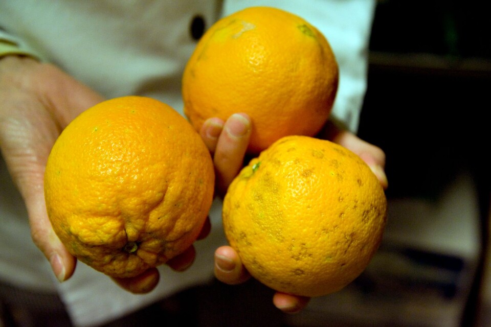 Ekologiska citroner.